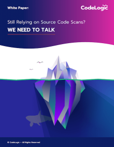 Cover of White Paper on going beyond source code scans that features an iceberg
