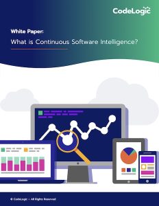 CodeLogic White paper Cover for What is CSI?